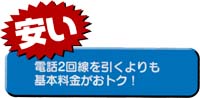 yasui2.jpg