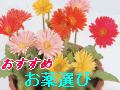 ���Ȃ��̏Ǐ󂩂�A�K�����s�̖��I�����܂��B