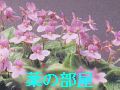 ��̖��ɗ����b�ł��B