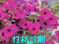 �`�^�s���x�`�F�b�N�Ő��i�f�f���ł��܂��B