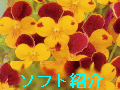 �����΂Ȗ�ǂ̃I���W�i���v���O�����̏Љ�ł��B