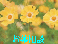 ��܎t����̑��k�ɏ��܂��B(������񖳗��ł��B)