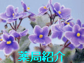 �����΂Ȗ�ǂ��ē����܂��B